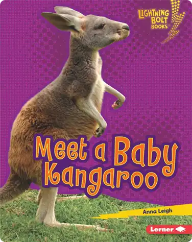 Meet a Baby Kangaroo book