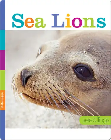 Sea Lions book