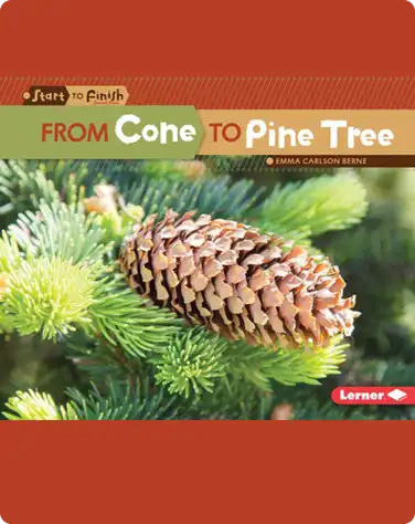 From Cone to Pine Tree book