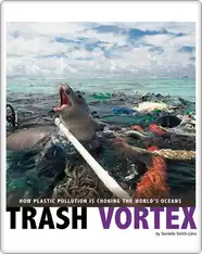 Trash Vortex