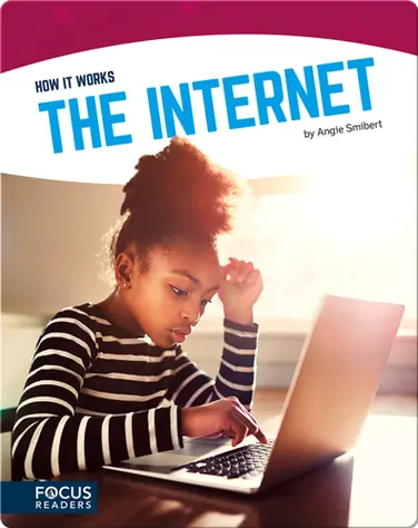 The Internet book