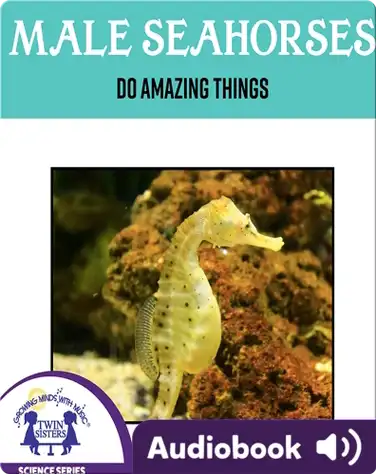 Male Sea Horses Do Amazing Things book