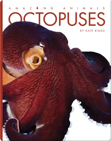 Octopuses book