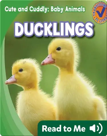 Cute and Cuddly: Ducklings book