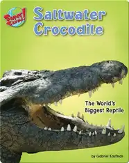 Saltwater Crocodile: The World's Biggest Reptile
