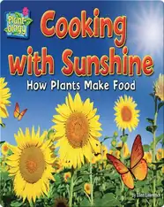 Cooking with Sunshine: How Plants Make Food