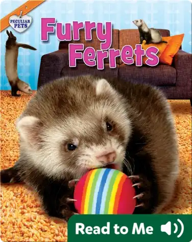 Furry Ferrets book