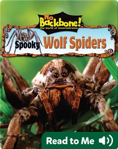 Spooky Wolf Spiders book