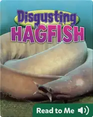 Disgusting Hagfish