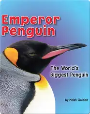 Emperor Penguin: The World's Biggest Penguin