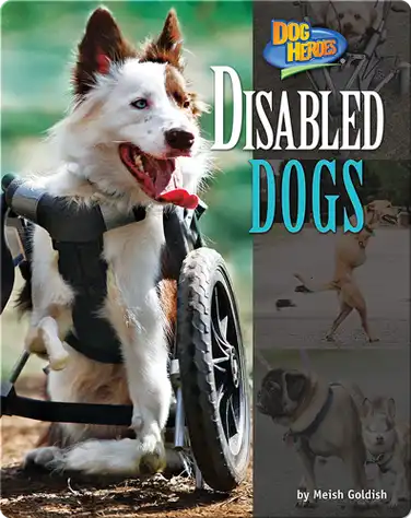 Disabled Dogs book
