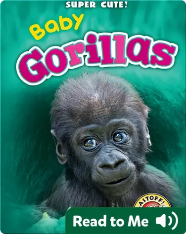 Super Cute! Baby Gorillas book