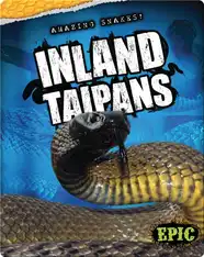 Inland Taipans