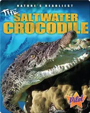 The Saltwater Crocodile