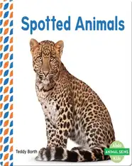 Spotted Animals