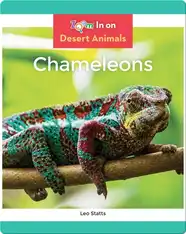 Chameleons