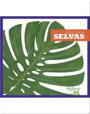 Selvas (Rain Forests)