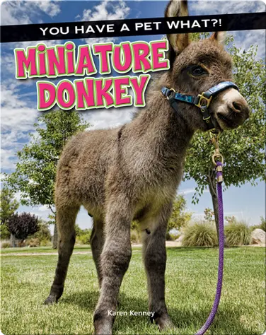 Miniature Donkey book