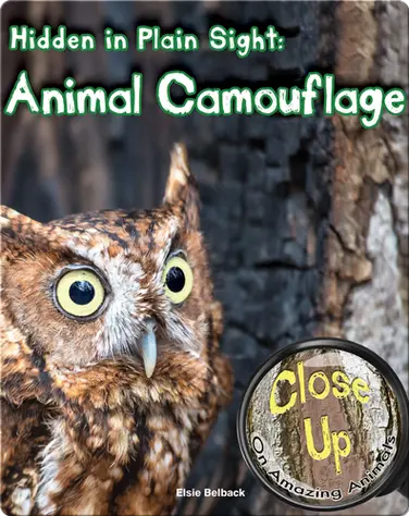 Hidden in Plain Sight: Animal Camouflage book