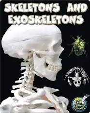 Skeletons and Exoskeletons