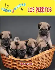 Los Perritos