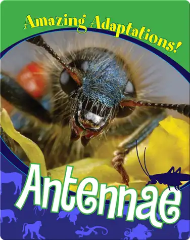 Antennae book