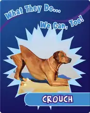 Crouch