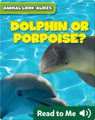 Dolphin or Porpoise? book