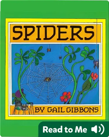 Spiders book