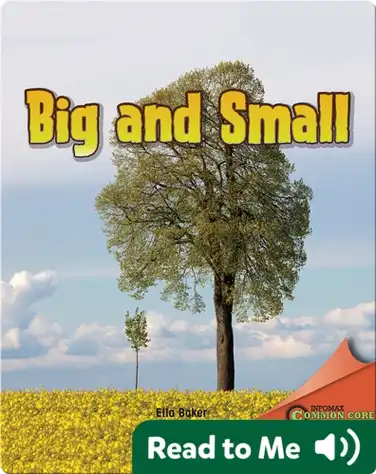 Big and Small book
