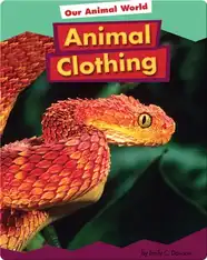 Animal Clothing