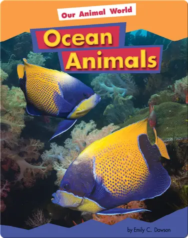 Ocean Animals book
