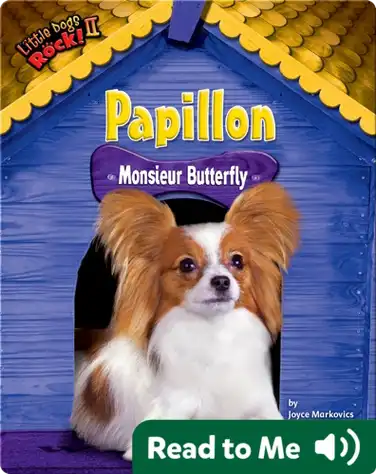 Papillon: Monsieur Butterfly book