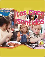 Los Cinco Sentidos (Five Senses)
