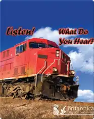 Listen! What Do You Hear?