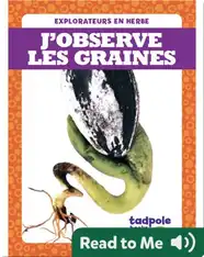 J’observe les graines