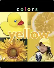 Colors: Yellow
