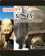Snouts, Spines, and Scutes