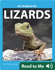 My Favorite Pet: Lizards
