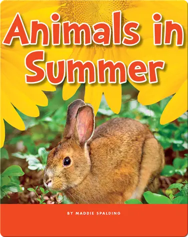 Animals in Summer book