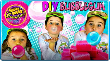How to Make Homemade Bubble Gum book