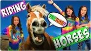 Learn How to Ride a Horse!