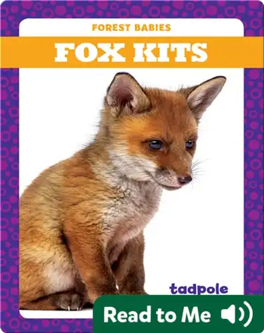 Fox Kits book