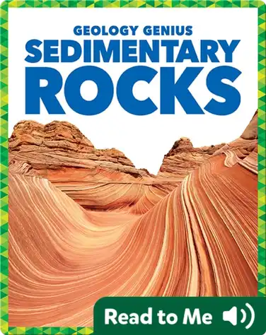 Sedimentary Rocks book