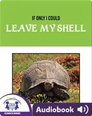 If Only I Could Leave My Shell
