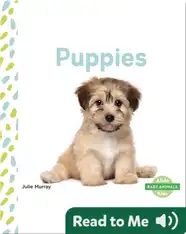 Puppies
