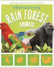 Protecting Rain Forest Animals