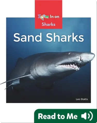 Sand Sharks book