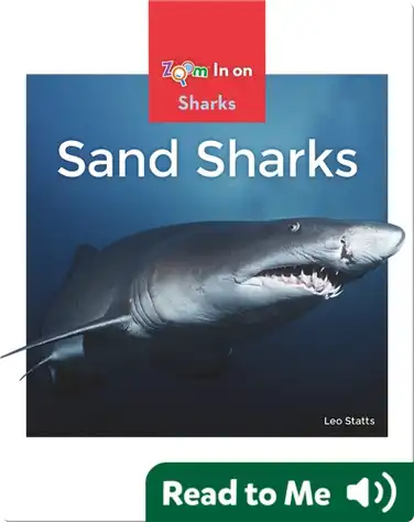 Sand Sharks book