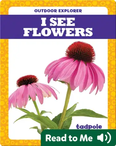 I See Flowers book